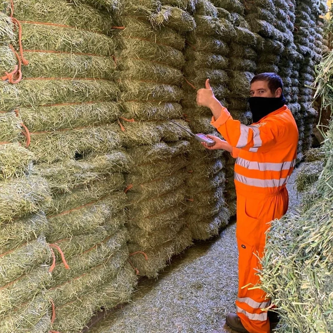 2020 European Alfalfa hay / Alfalfa Hay for sale