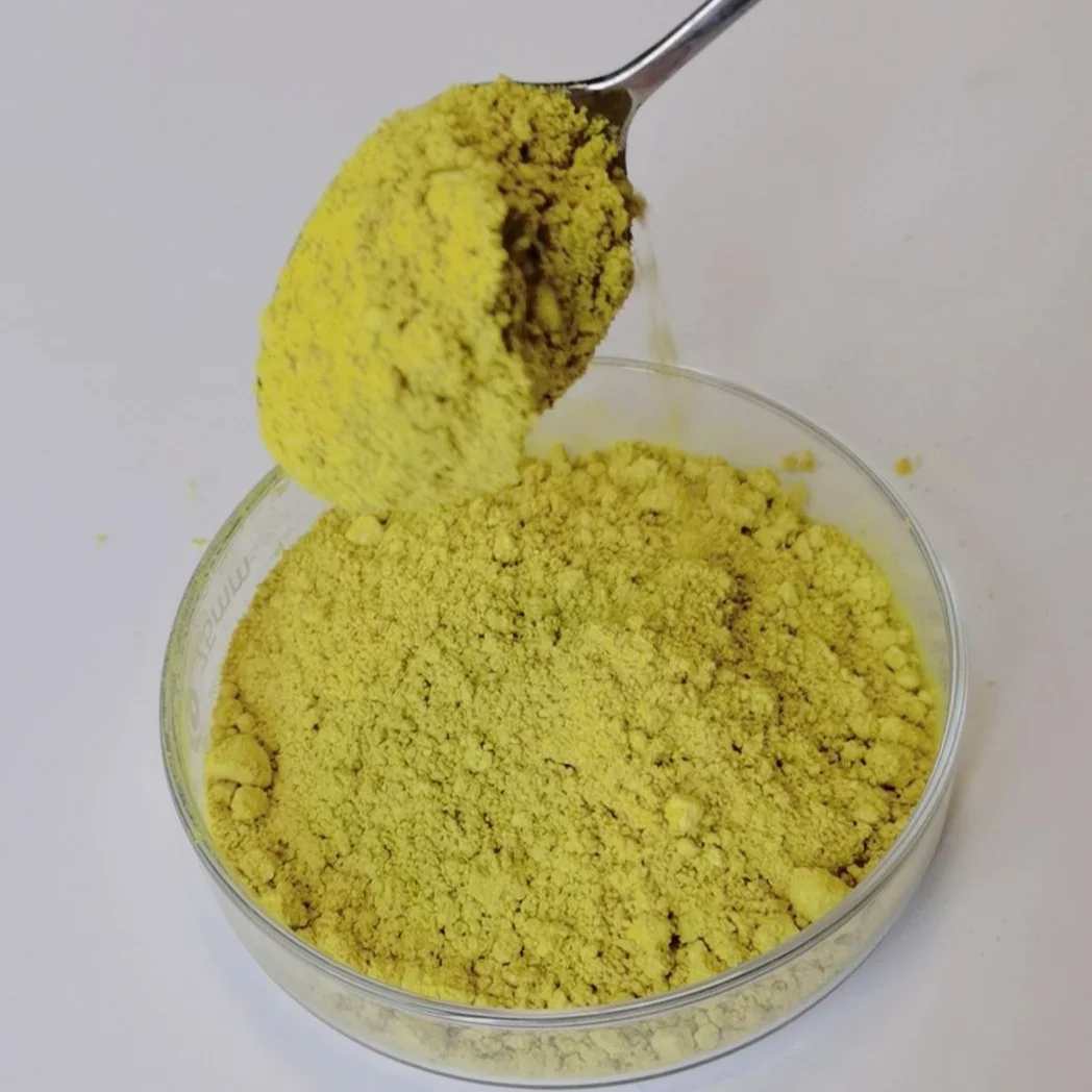 Supply Vine Tea Extract 70% - 98% myricetin Powder
