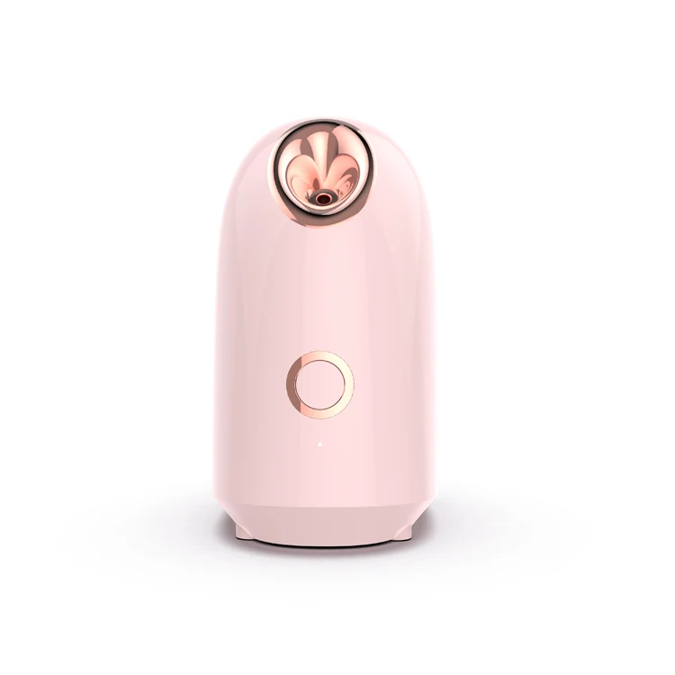 Новинка 2022 персональный мини-отпариватель для лица домашнего