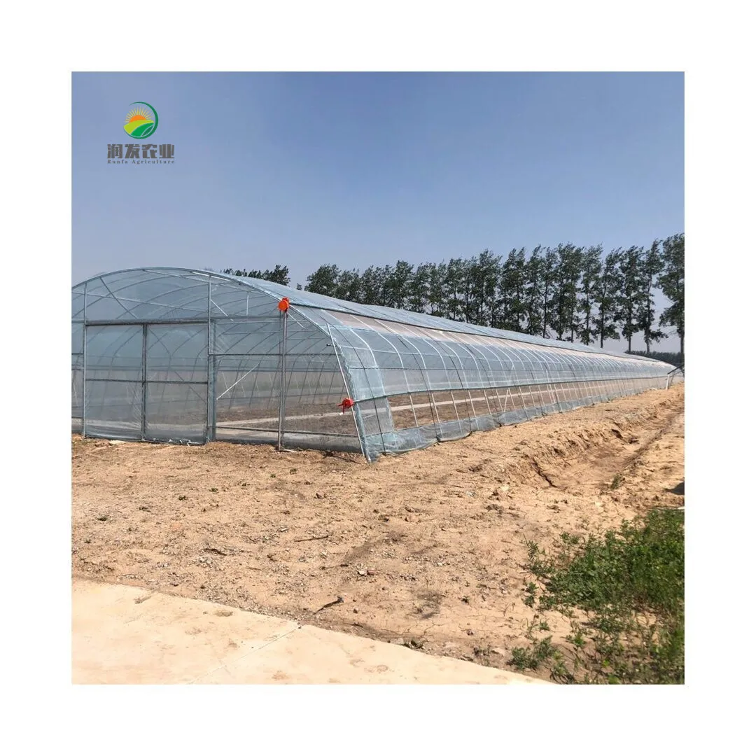 Парника поставки Cultivo Крытый гидропонических комплект Vendo определяет сер ушейте туннельная теплица