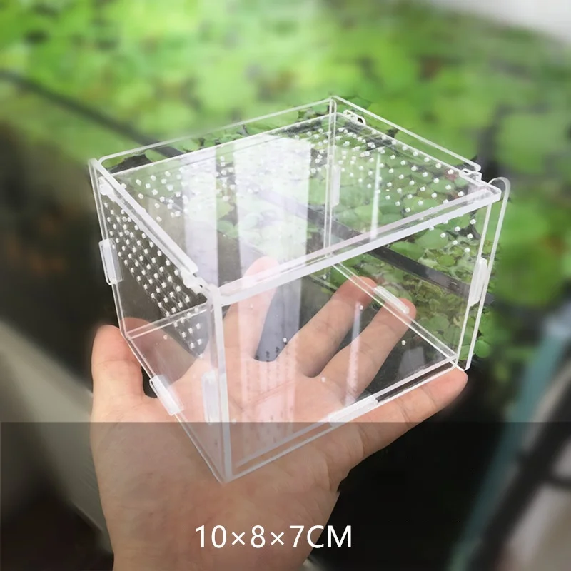 Reptile Small Plastic Feeding Box Terrarium,Reptile Travel Habitat Box For Gecko Frog Spider Snake Baby Lizard