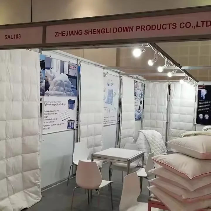 Washable Luxurious Silk Pillow Case Soft Breathable Silk Pillow Case 100% Silk Material Feather Down Throw Pillow