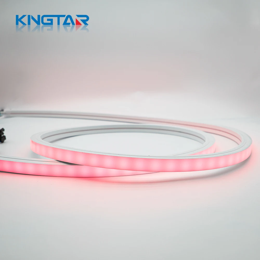LED Neon Flex12V Flxe Light 16*16mm Size Colorful Indoor/Outdoor Decoration Landscape 5m Length