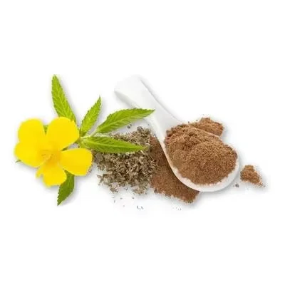 Hot sale Factory supply high quality damiana leaf extract damiana leaf