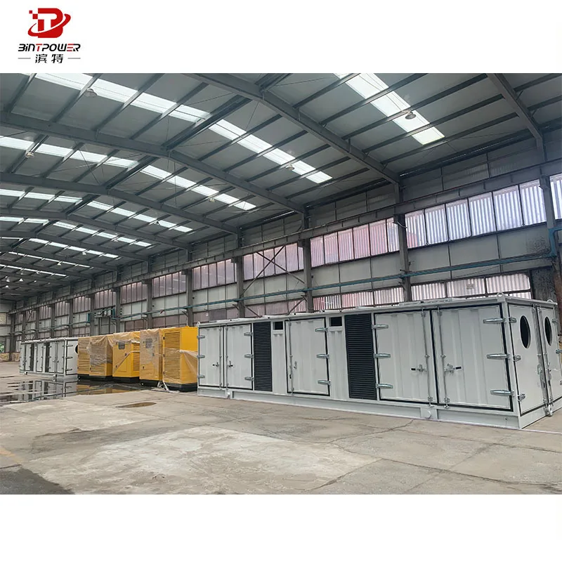 1MW Heat Power Gas Generator with Biogas Reactor