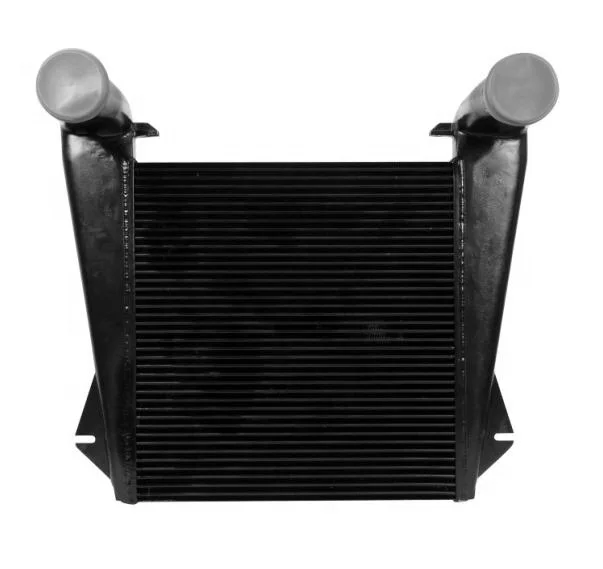 Heavy Duty Truck Engine Charge Air Cooler Intercooler 44013801 For Peterbilt 357, 362, 379 & WG Series