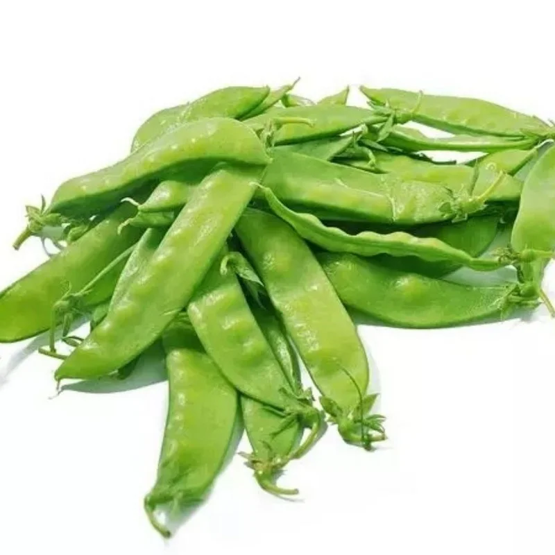Wholesale cheap price delicious vegetables of chinese snow pea