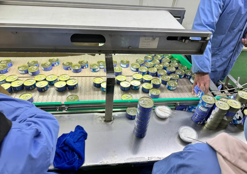 Pet Snack Suppliers Wholesale Cheap Multiflavor 85g Seafood Tuna Flavor Canned Food Wet Cat Food Snack Tuna + Chicken Liver