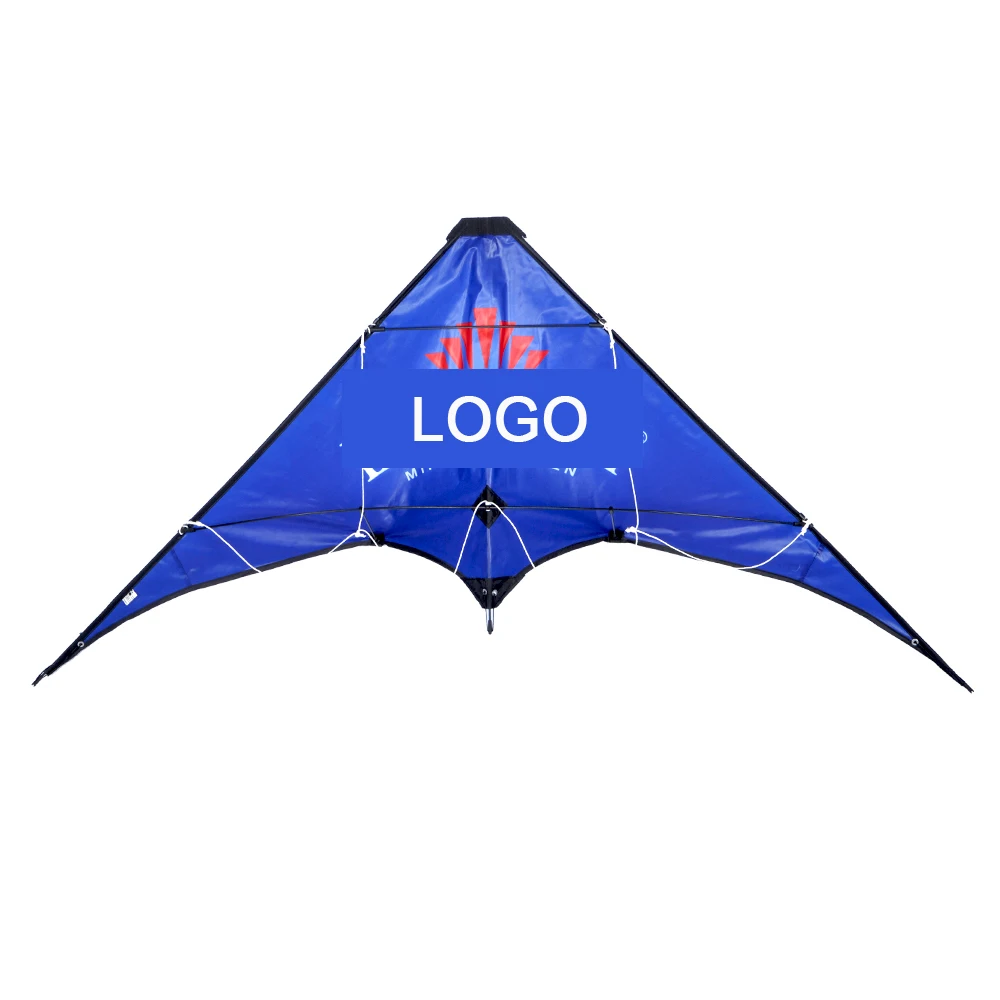 
Chinese outdoor playing stunt custom made kites sale 