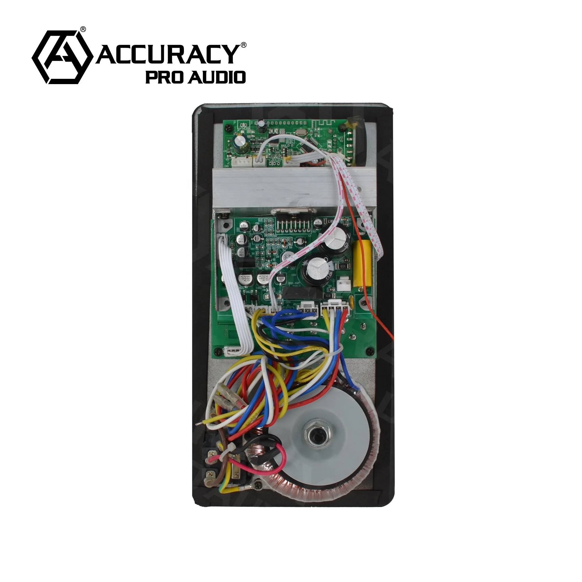 Accuracy Pro Audio10/12/15 Inch Class AB sound power Amplifier audio Module circuit board professional for Speaker