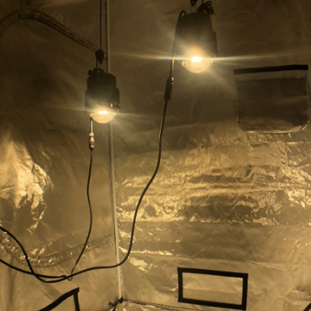 Mini Black shell Crees CXB3590 3500k 50w plant LED full spectrum cob led grow light for medical plants