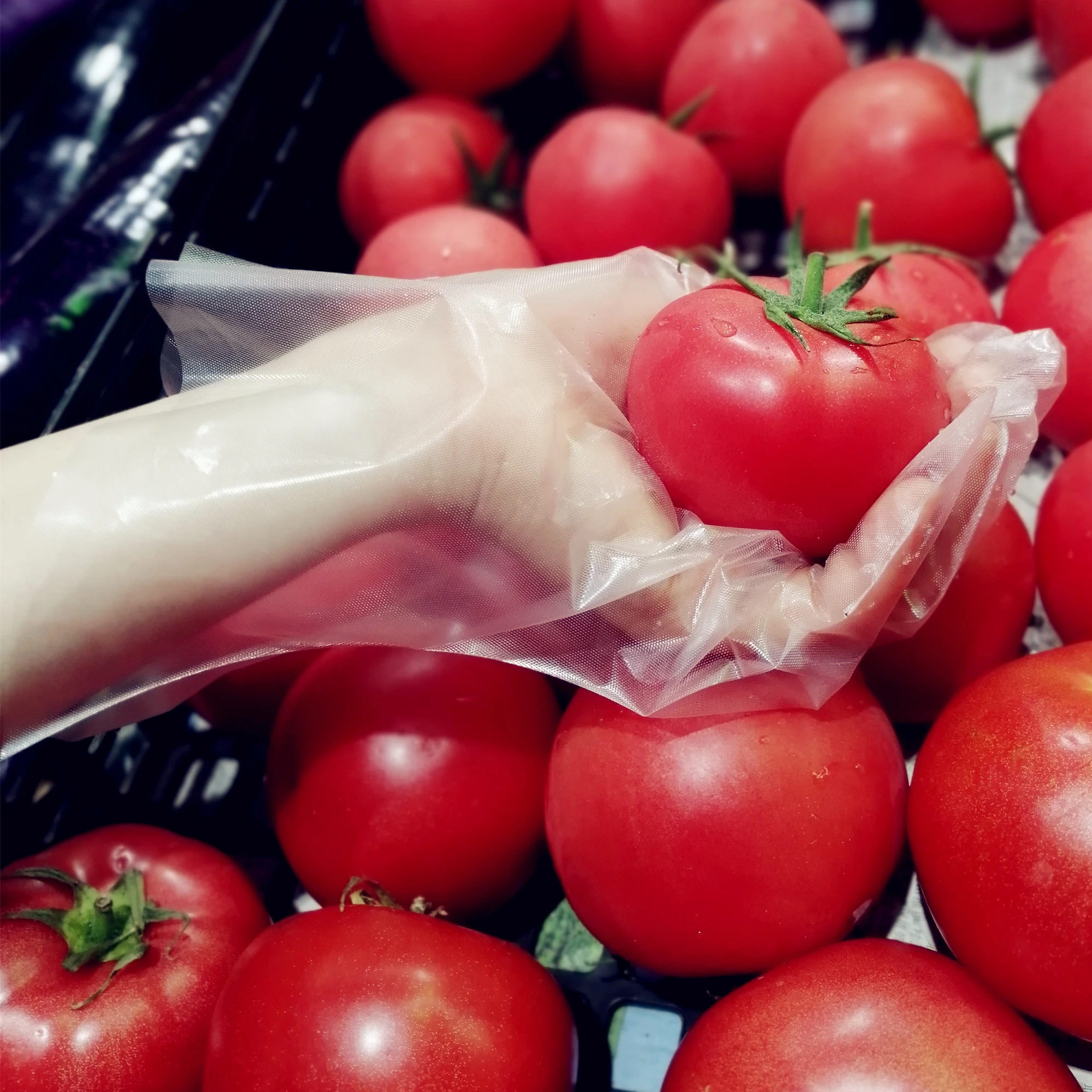 Powder Free Hybrid Food Safe TPE Blue Stretch Gloves Medium (Box of 100)