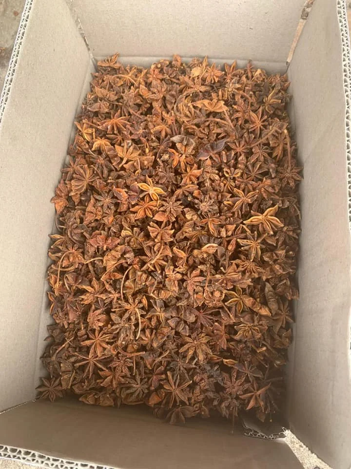 BROKEN STAR ANSIE CHEAP PRICE FOR GRINDING PURPOSE STAR ANISEED BROKEN STAR ANISE CHIPS