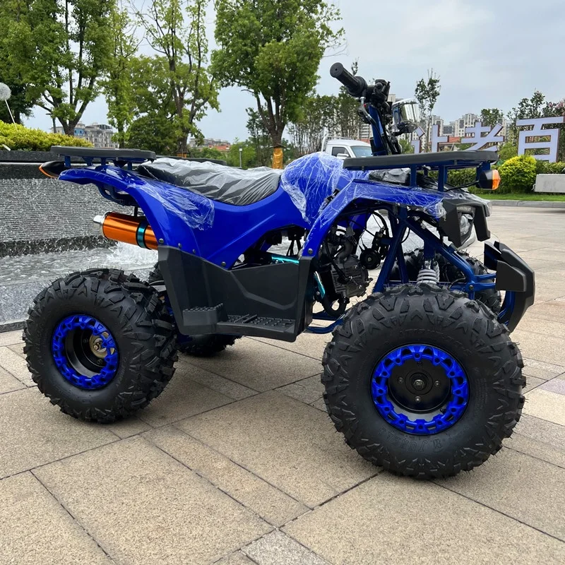 Прост в управлении 125cc Quad взрослых 4 квадроциклов ATV