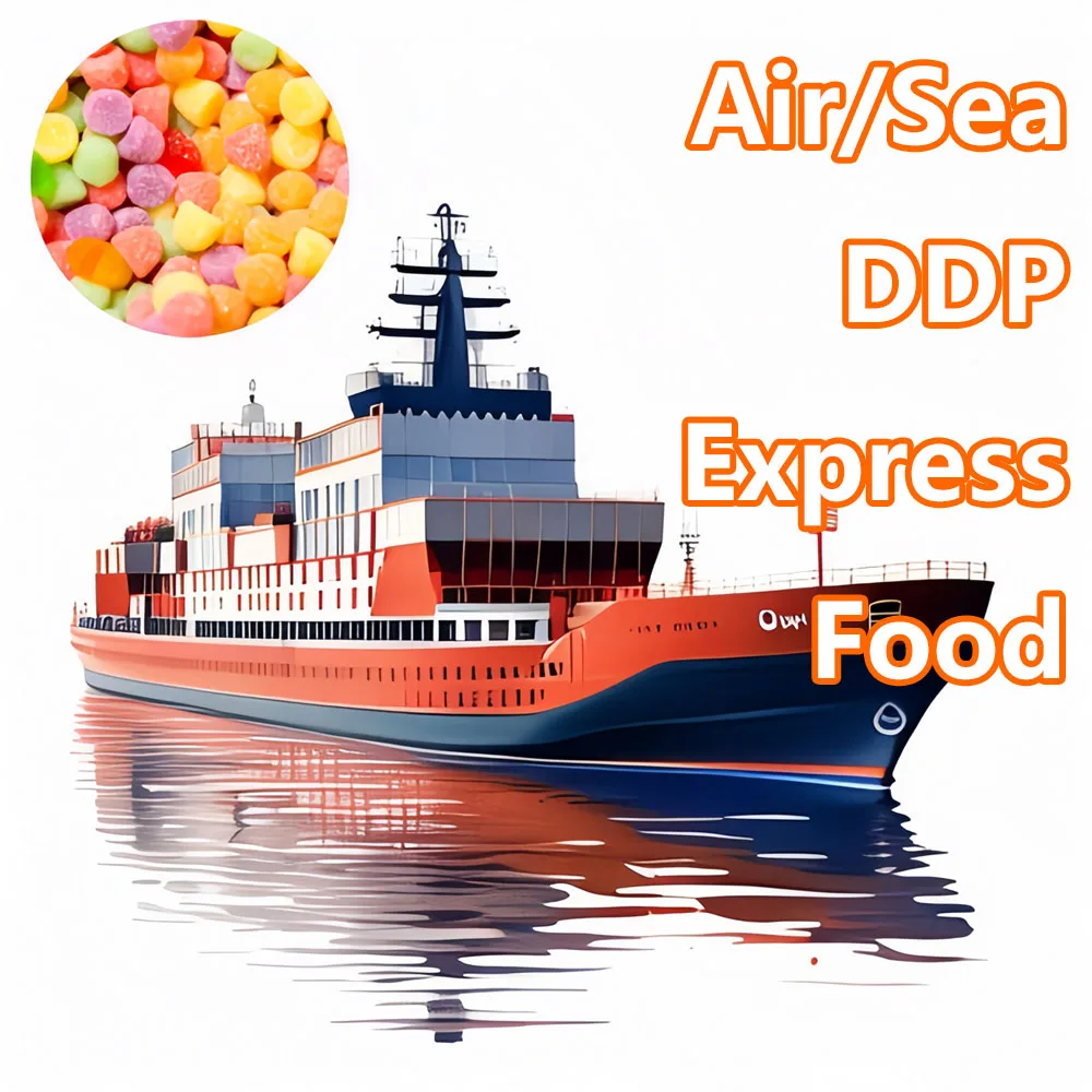 Food freight Cheapest Shipping agent From China To Usa Canada Europe sea Professional Logistics Services Freight Forwarder