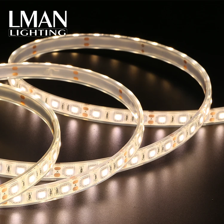 Commercial Building Outdoor Decoration Ip68 Waterproof Dc 12v 24v Double PCB Smd 5050 Led Strip Light