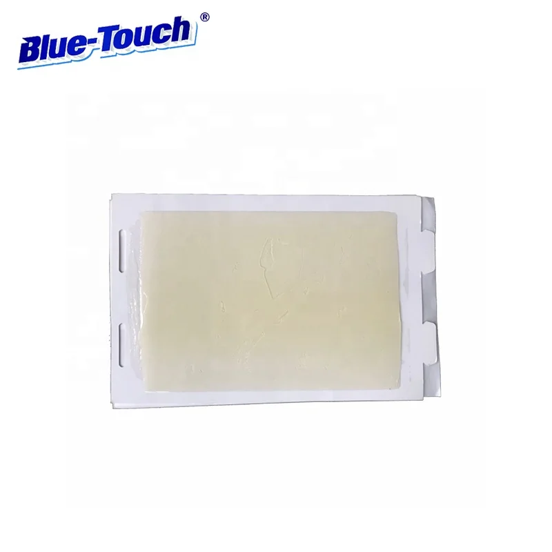 Blue Touch Household Pest Control Mouse Glue Traps Adhesive Trap For Mice in Card
