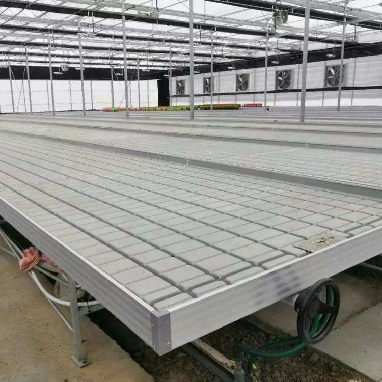 Rolling Irrigation Single Line ABS Plastic Hydroponic Ebb and Flow Tray Custom Mold Agricultural Greenhouse Bench