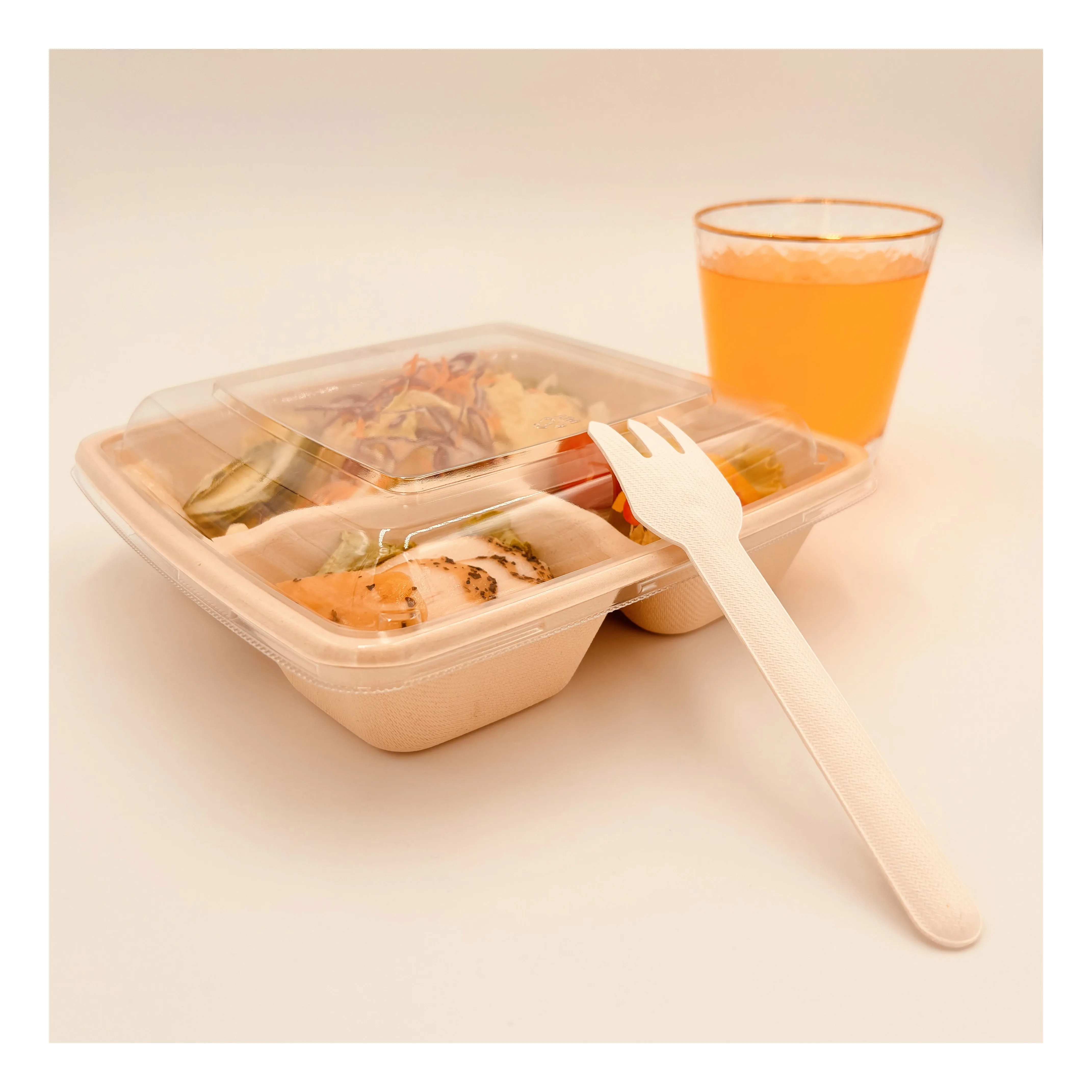 Biodegradable Custom Affordable And Eco-friendly Sugarcane Bagasse Pulp Takeout Food Containers With Lined