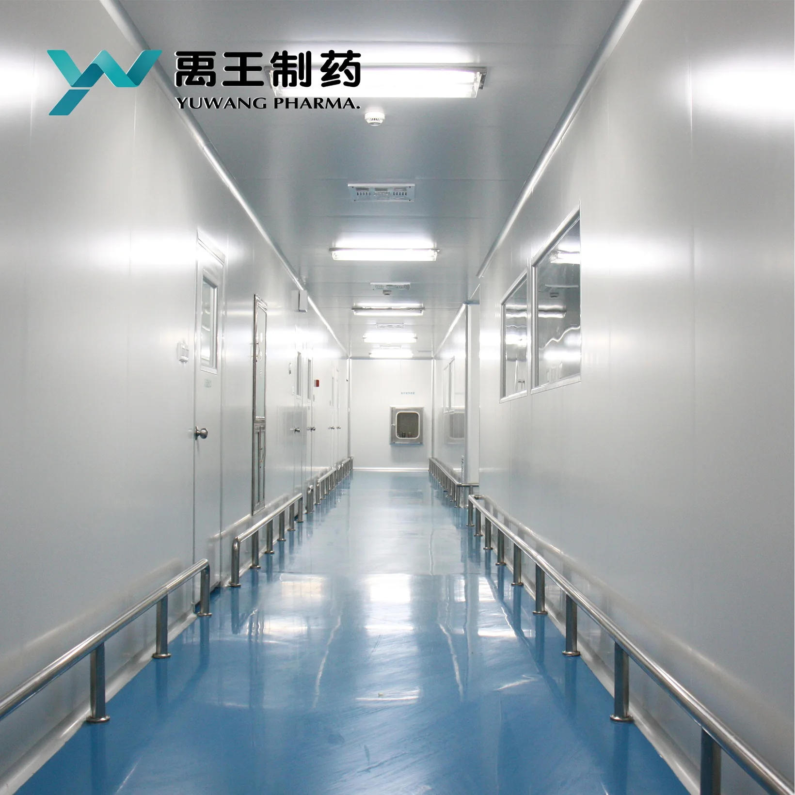 OEM GARLIC+lecithin+omega soft gel