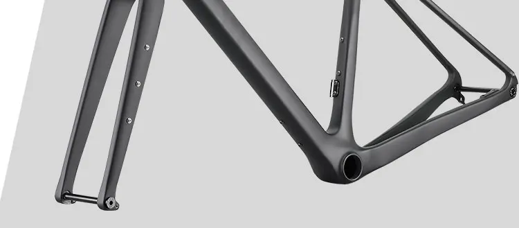 Carbon Frame Bike.jpg