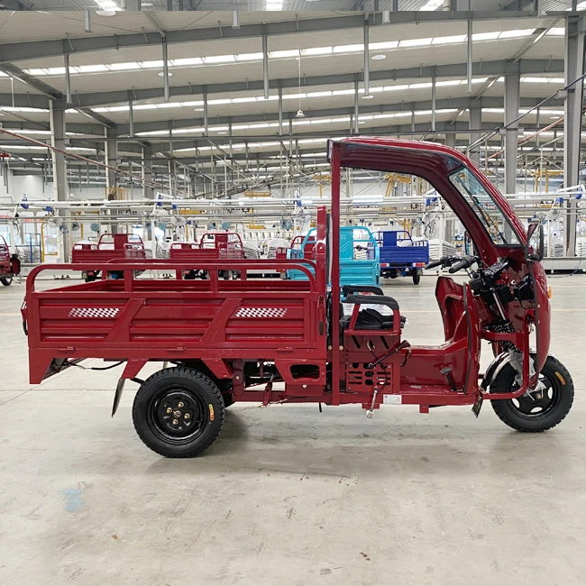 Tanzania Gasoline Engine 200 CC Water-cooled Cargo Tricycle With Awning