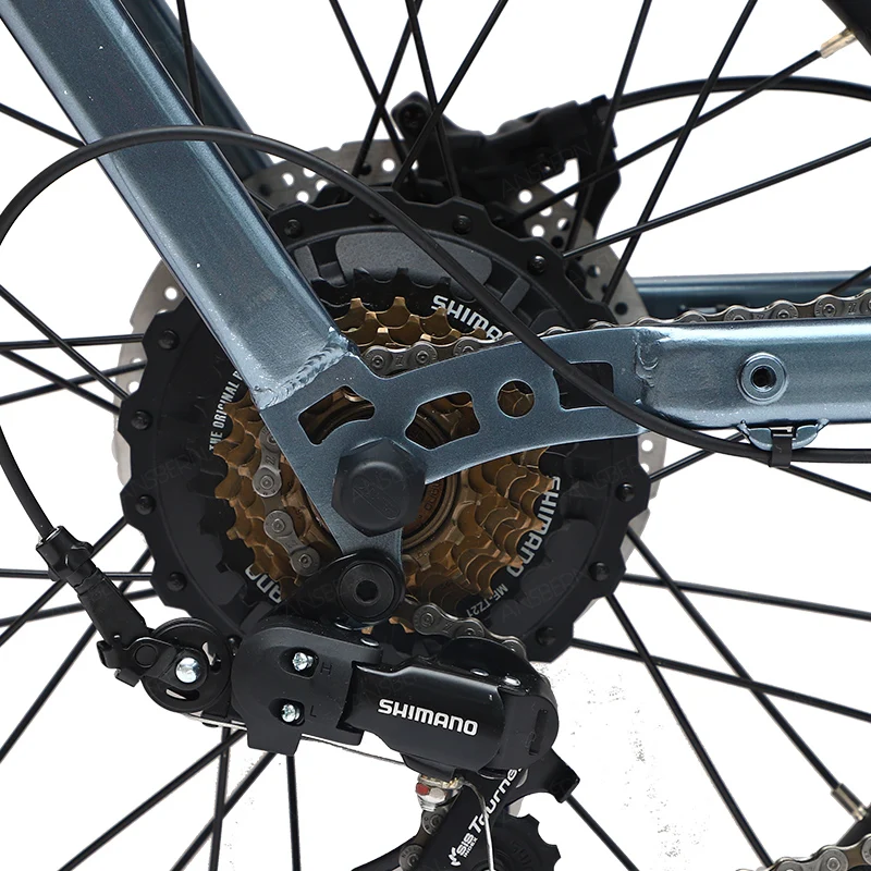 48v 500W electric bike powerful motor electric cargo bike long tail cargo bike