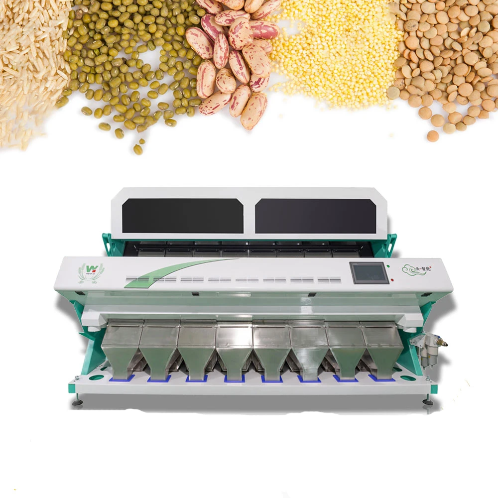 High Capacity Optical CCD Color Sorter Cocoa Bean Color Sorting Machine Grain Color Sorter Separator