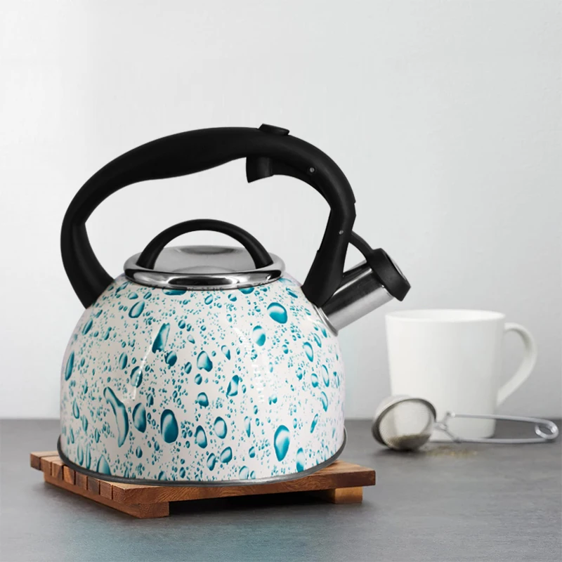 New Design Printing Whistling Tea Kettle Home Kitchen Decor Stainless Steel Tea Water Pot Kettle for Stove Top