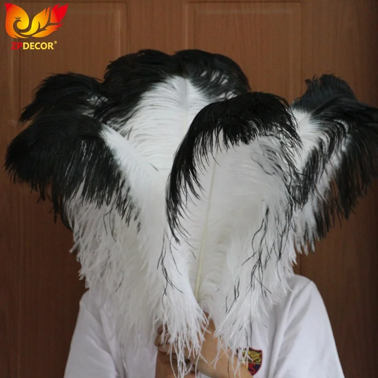 Gold Supplier ZPDECOR Wholesale 70-75 cm White Ostrich Feathers with Black Tip for Carnival Costume Headpiece