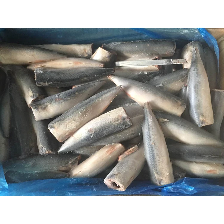 Good taste fresh frozen pacific mackerel fish 300-500g size on sale