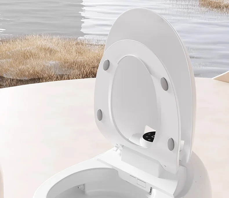 Automatic Rear wash Female Wash seat heating portable toilet smart toilet with remote control EGG smart toilet