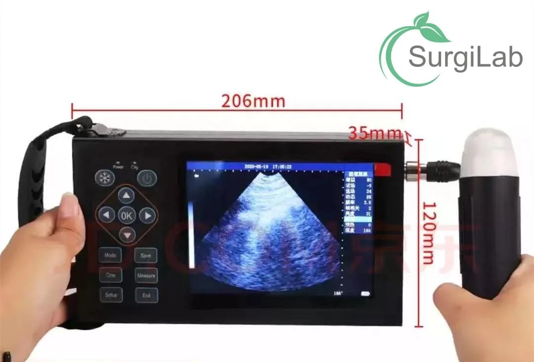 Professinal medical portable ultrasound scanner Vet Ultrasound Equipment pig sheep cow  ultrasound detector