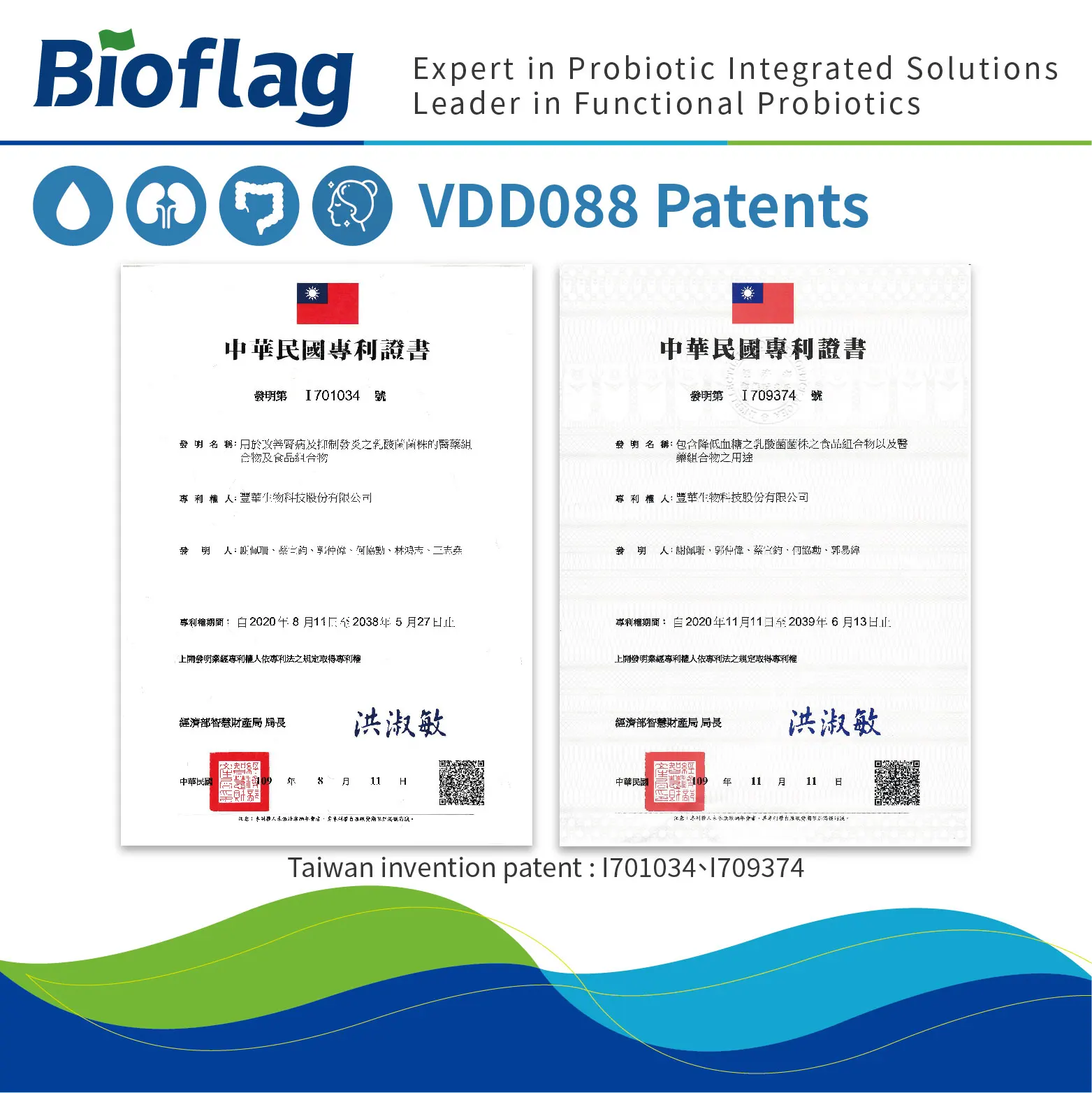 
probiotics powder for glycemic control gut health Bifidobacterium bifidum VDD088 kidney protection 