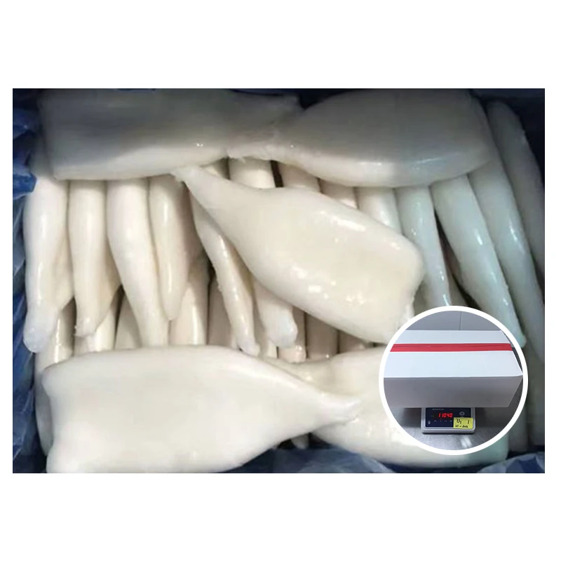 Оптовая продажа, низкая цена, морепродукты из кальмара, Китайская морская еда U3 U5, гигантская замороженная туба для кальмаров