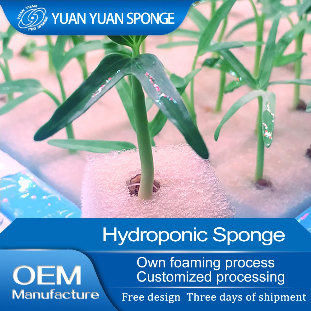 Promotional Cheap Hydroponic Sponge Plant Medium Sponge For Greenhouse Seedling