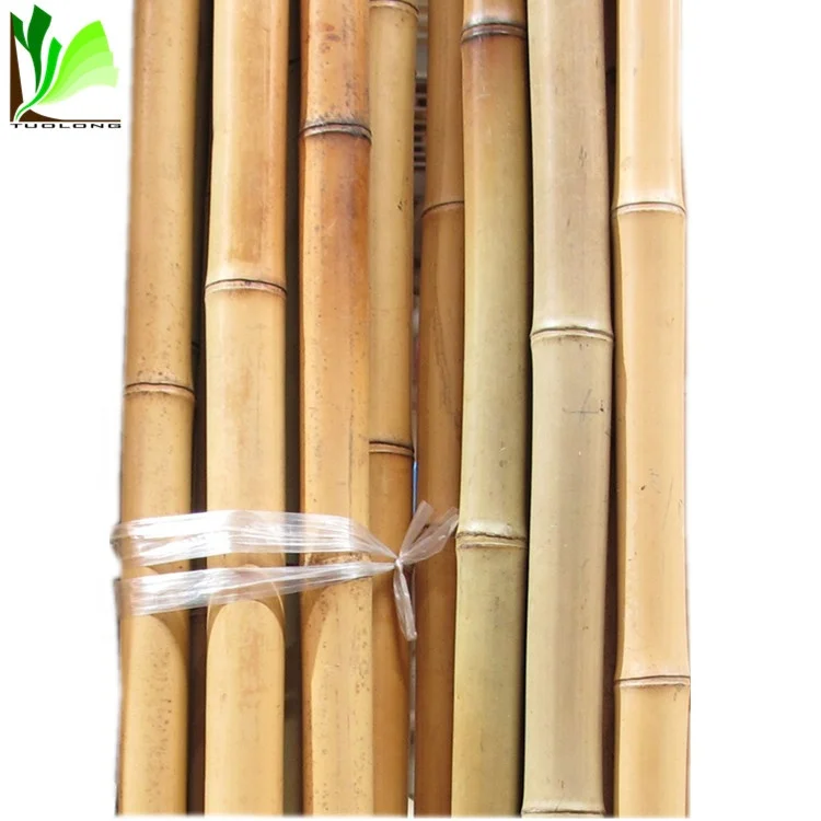 Natual Dry Bamboo Trunks for sale