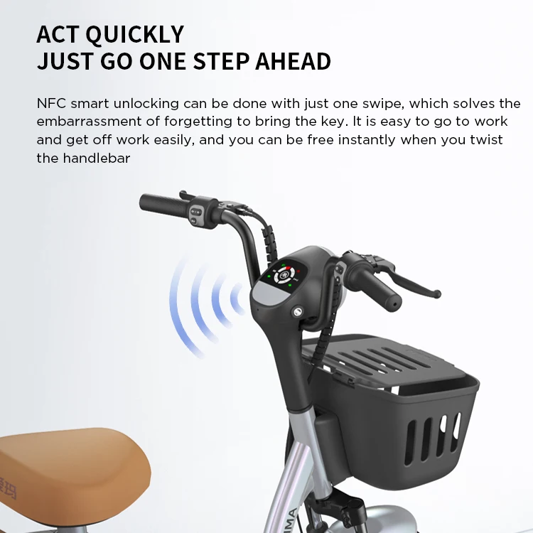 Aima E-Scooter KEKU 2023 Electric Bike Battery 48V 20Ah 350W Electric Scooter Bike