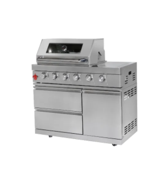 Competitive price Outdoor BBQ Camping Large capacity stainless steel Machine Barbecue gas grill