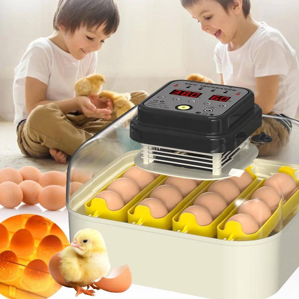 30 Egg capacity dual power chicken commercial egg incubator and hatching machine in france