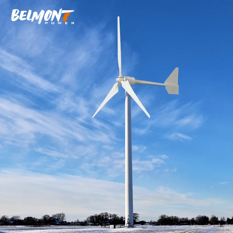 Home use Off Grid System windmill 3KW 5KW 10KW Horizontal Axis Wind Power Generator