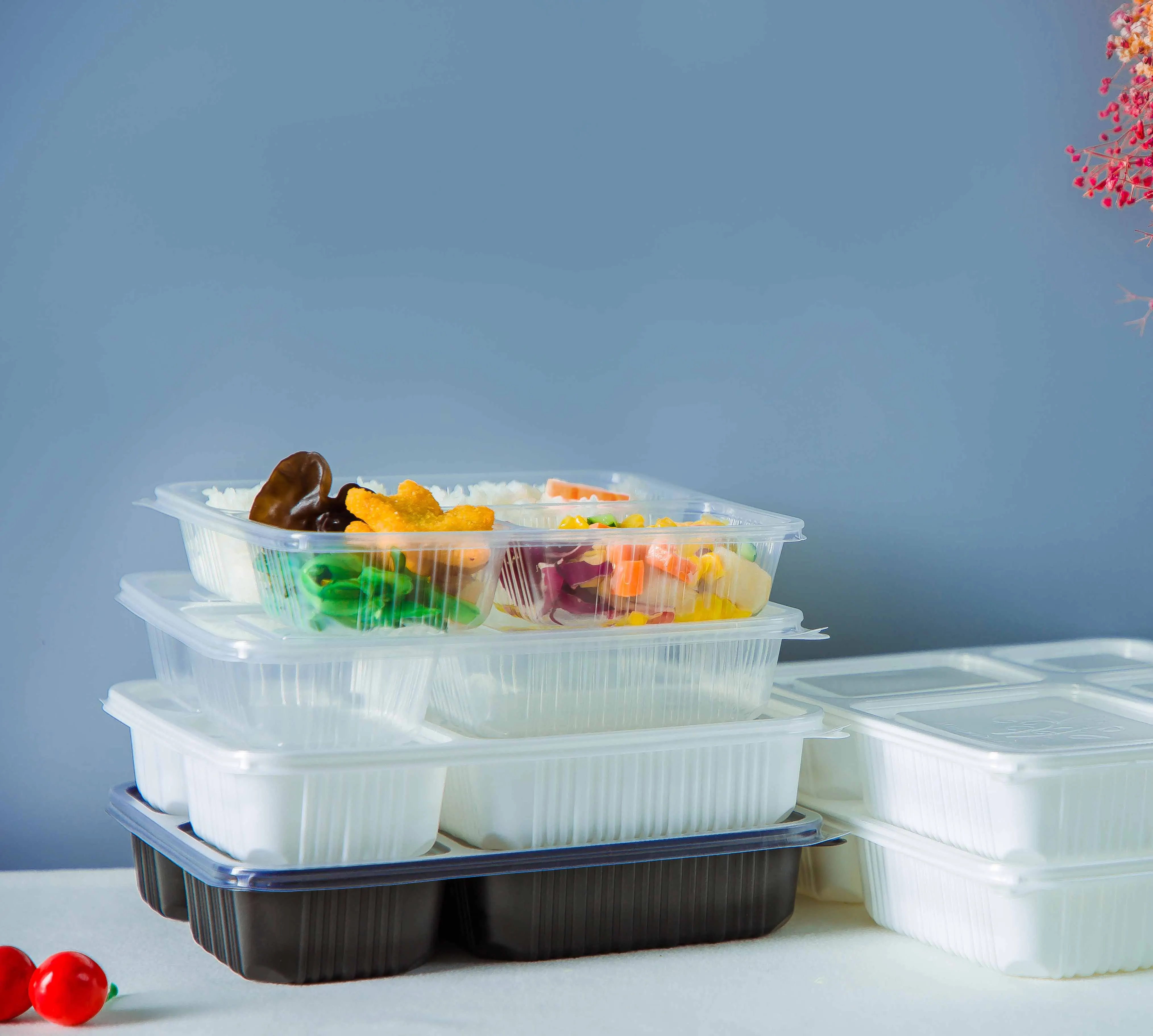 Disposable Plastic Take Away Rectangular Food Container 4 Compartment Lunch Box with dividers for restaurant food packaging