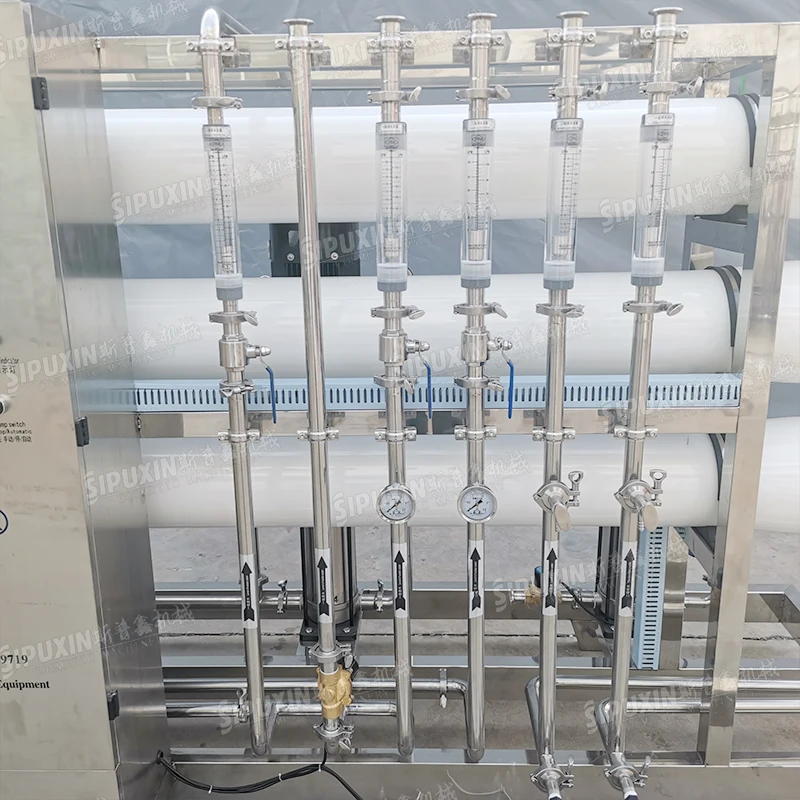 SPX New  2 stage water filter RO plant water treatment