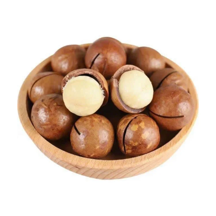 Good Price Macadamia Nut 2028 Green Vina Ready To Use Oem Roasted From Vietnam Manufacturer