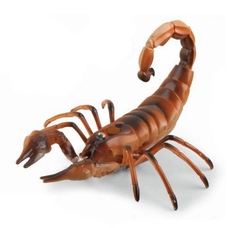 Factory Supply Infrared Control Scorpion Child Animal Toys With Music And Light