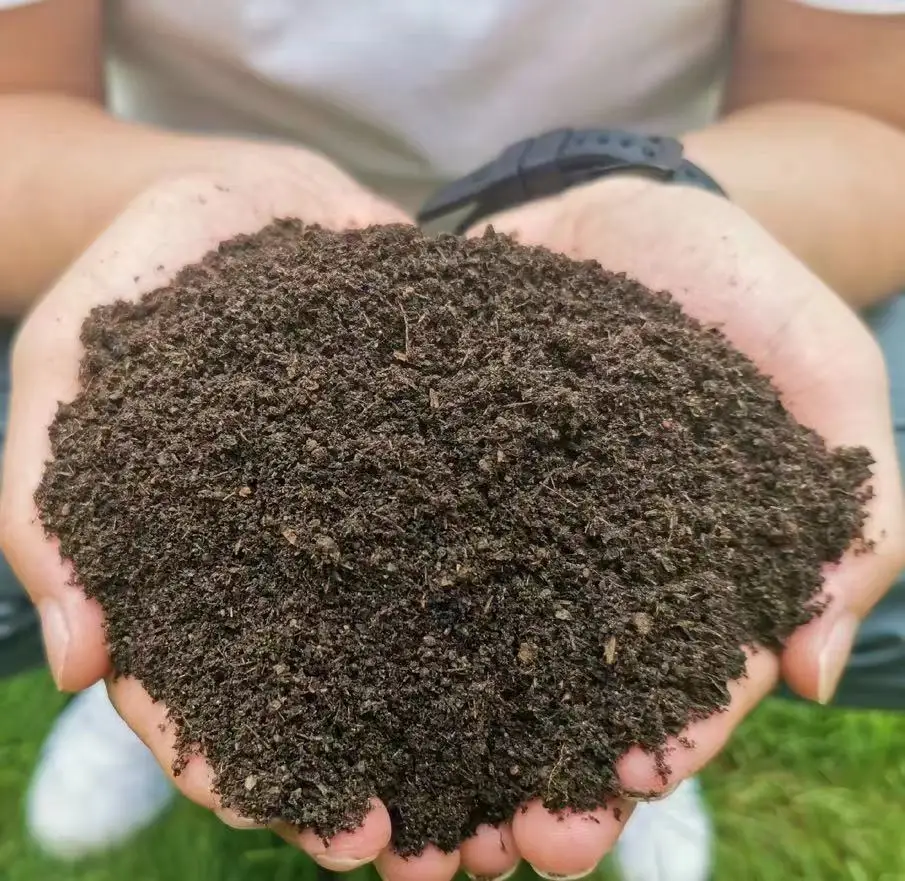 Bacillus Mucilaginosus Biological Organic Fertilizer White CAS Phosphorus Plant Feature Powder Quick Shelf Water Origin Type ISO