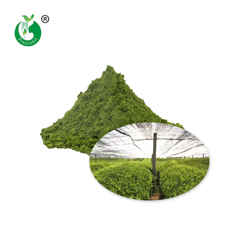
100% Organic Ceremonial Grade Pure Green Tea Matcha Wholesale 