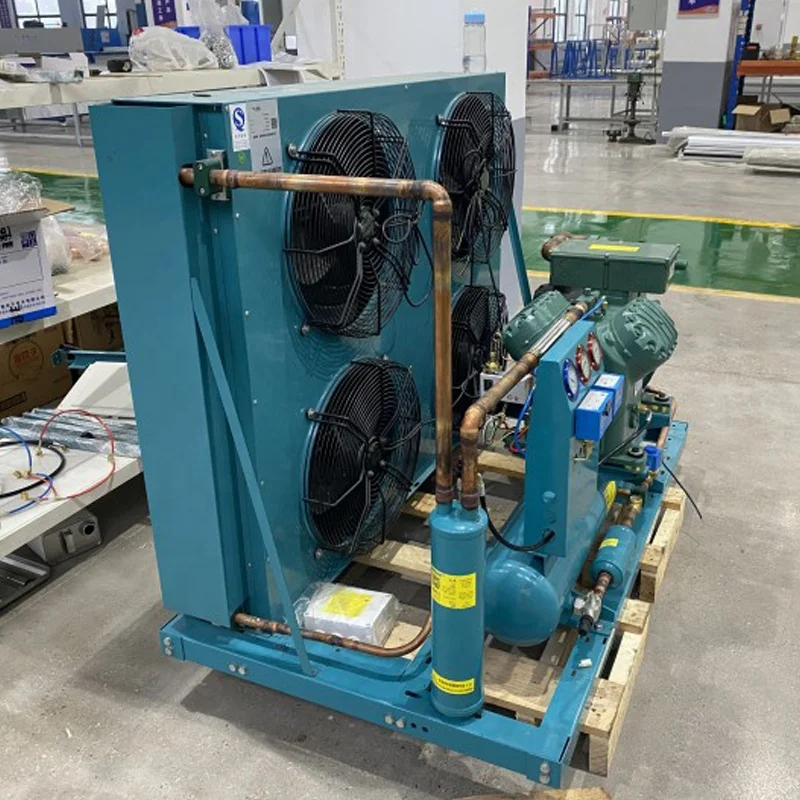 50Hz 60Hz Low Temperature Refrigeration Unit, Cold Room Compressor Unit, Brand Condensing Unit for Ice Cream