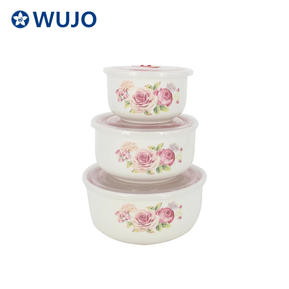 Hot Sale Food Storage Containers Microwave Safe Ceramics Bowl a Set of 3 Ceramic Storage Bowls with Lid