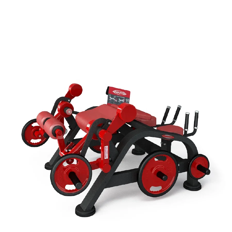 Strength Back Extension abdominal Crunch machine Commercial Gym Equipment Dual Functional Station Gym Machine